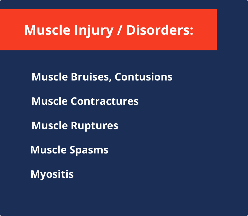 List of muscle injury/disorders including muscle bruises, contusions, muscle contractures, muscle ruptures, muscle spasms, and myositis on a navy blue background with a red header.