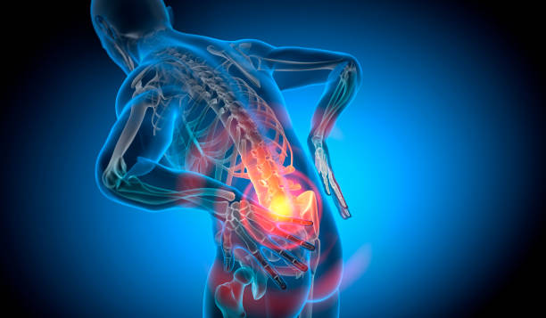 Top Physical Therapy Exercises for Lower Back Pain: Proven Techniques for Relief and Recovery