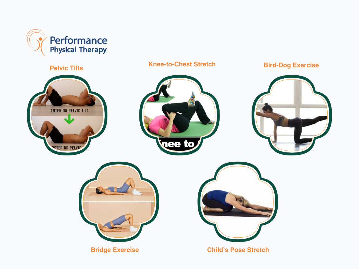 Graphic showing six physical therapy exercises: Pelvic Tilts, Knee-to-Chest Stretch, Bird-Dog, Bridge Exercise, and Child's Pose Stretch.