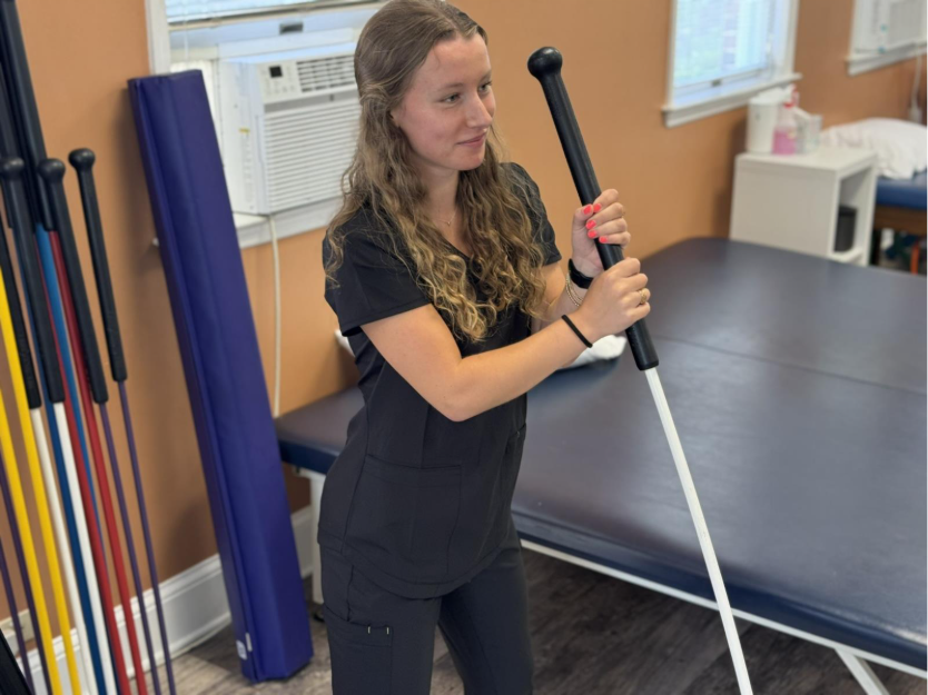 Home Workouts or Professional Physical Therapy?