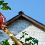 The fruit picker basket in the hands of a woman is filled with ripe yellow and red apples against a blurred background of the house, the blue sky and the hostess.